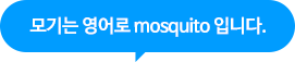 모기는 영어로 mosquito 입니다.