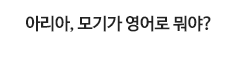 아리아, 모기가 영어로 뭐야?