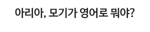 아리아, 모기가 영어로 뭐야?